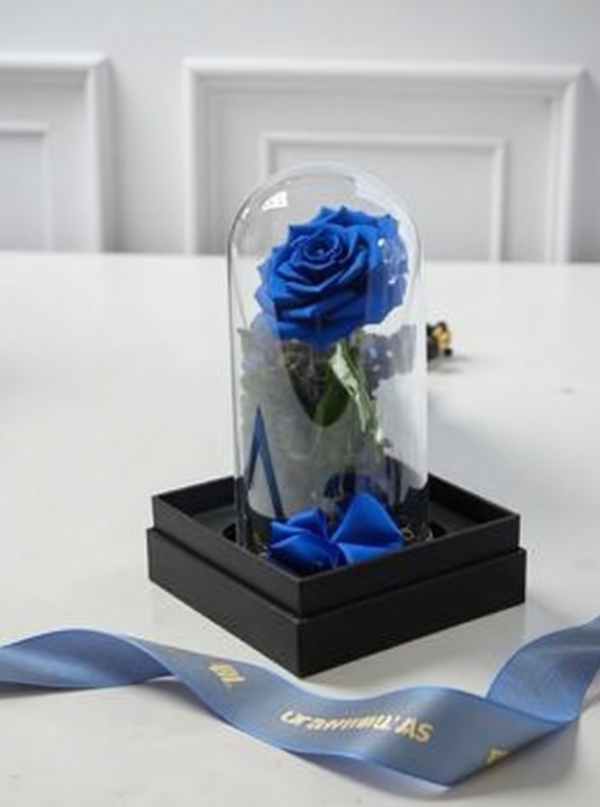 Preserved Blue Rose in Glass Dome (1 Stem) | UrbanFlowers